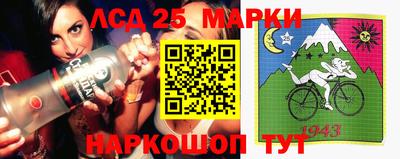 стафф Кандалакша