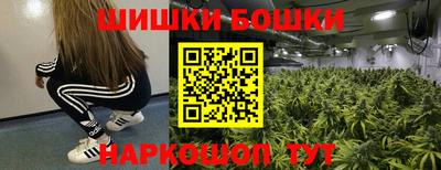 стафф Кандалакша