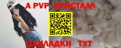 стафф Кандалакша